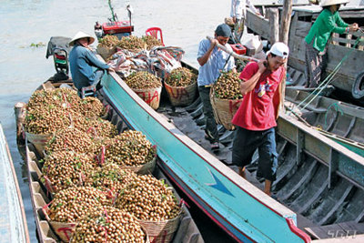 Bộ Tài chính: Ưu đãi thuế cho sản xuất, xuất khẩu